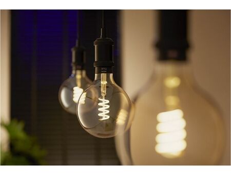 hue Wh. Amb. 7W Fil G125 E27