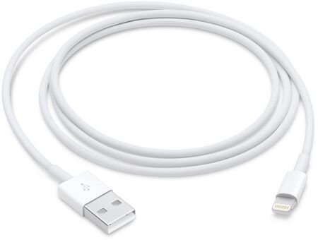 Apple Lightning auf USB Kabel (1m)