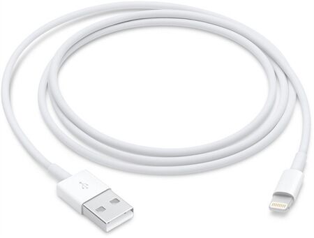 Apple Lightning auf USB Kabel (1m)
