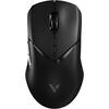 rapoo VT9PRO