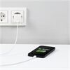 Hama Mini-Schnellladegerät USB-C (20W)
