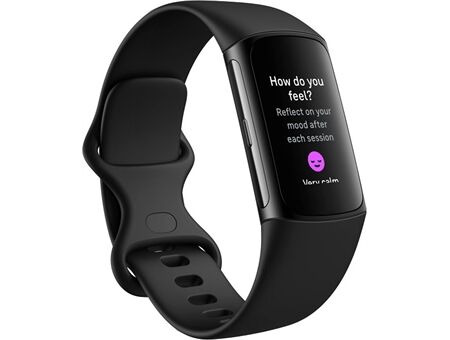 FITBIT Charge 6
