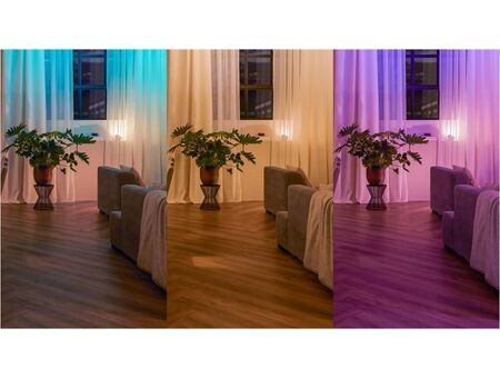 hue Wandschalter Modul Doppelpack