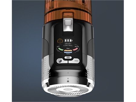 Rowenta RH9A30WO X-Force Flex 13.60 Allergy