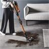 Rowenta RH9A30WO X-Force Flex 13.60 Allergy