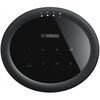 Yamaha MusicCast 20 WX-021