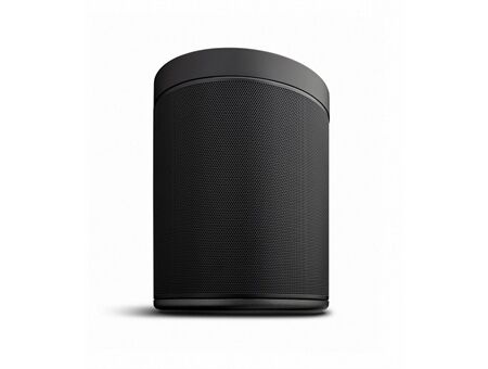 Yamaha MusicCast 20 WX-021