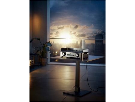 WMF Master Grill