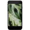 goeco iPhone SE 2020 (128GB) Refurbished