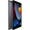 Apple iPad (256GB) WiFi + 4G 9. Generation