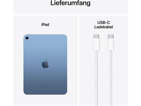 Apple iPad (256GB) WiFi 10. Generation, ohne Zubehör