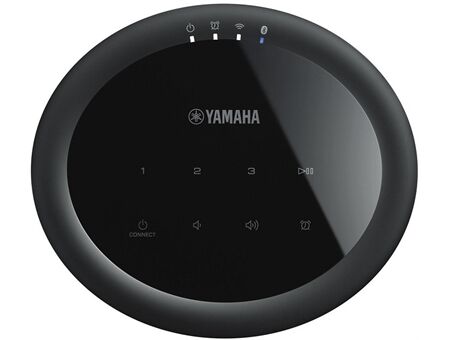 Yamaha MusicCast 20 WX-021