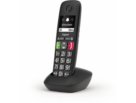 Gigaset E 290 HX