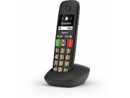 Gigaset E 290 HX