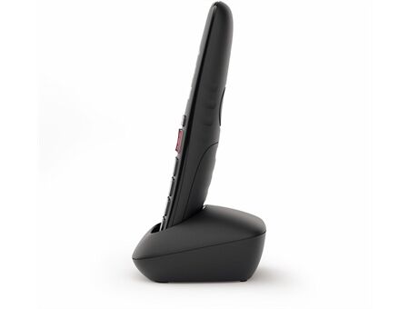 Gigaset E 290 HX