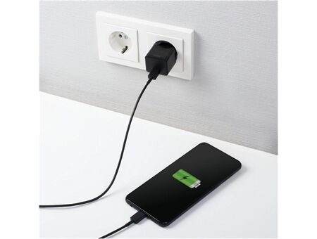 Hama Mini-Schnellladegerät USB-C (25W)