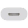 Apple USB-C auf Lightning Adapter