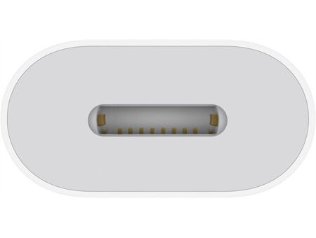 Apple USB-C auf Lightning Adapter