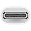 Apple USB-C auf Lightning Adapter