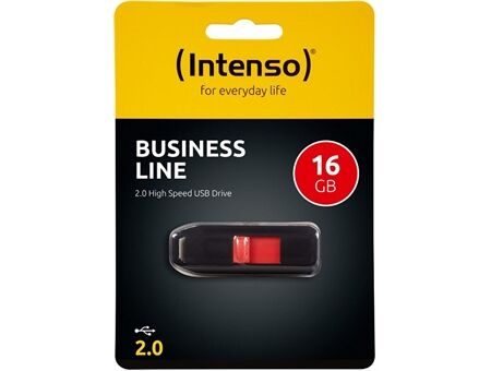 Intenso Business Line USB 2.0 (16GB)