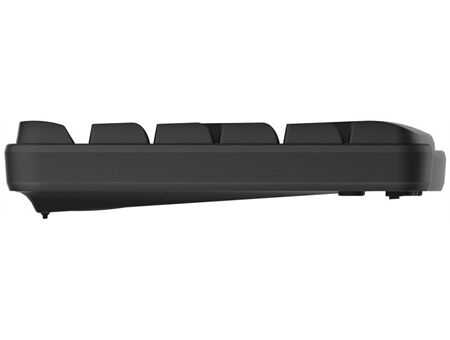 rapoo 186856 NX1820 Tastatur-Set sw