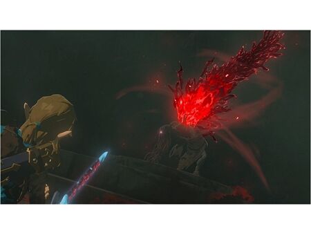 Nintendo The Legend of Zelda Tears of the Kingdom