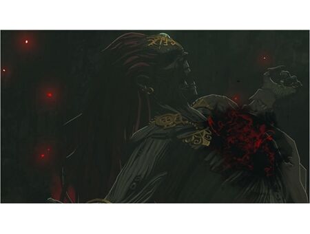 Nintendo The Legend of Zelda Tears of the Kingdom