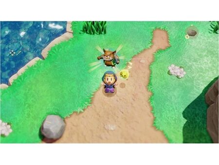 Nintendo Legend of Zelda: Echoes of Wisdom