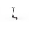 Ninebot by Segway KickScooter F20D