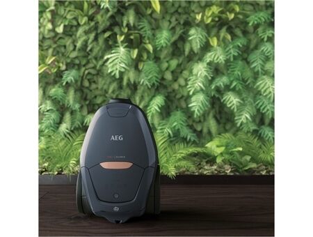 AEG VX82-1-5DB (FH+)