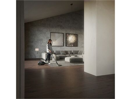 AEG VX82-1-5DB (FH+)