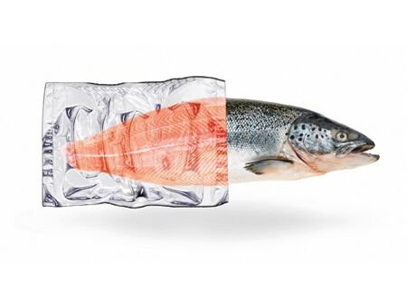 CASO Folienbeutel 30x40 - 50Stk.