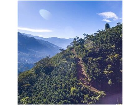 DeLonghi EN 267.WAE Nespresso CitiZ & Milk