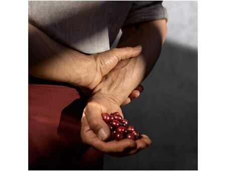 DeLonghi EN 267.WAE Nespresso CitiZ & Milk