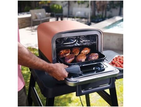 NINJA OO101EU Woodfire Outdoor Ofen