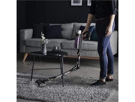 Rowenta RH2037 X-Force 9.60 Allergie