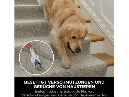 Shark PX200EUT StainStriker