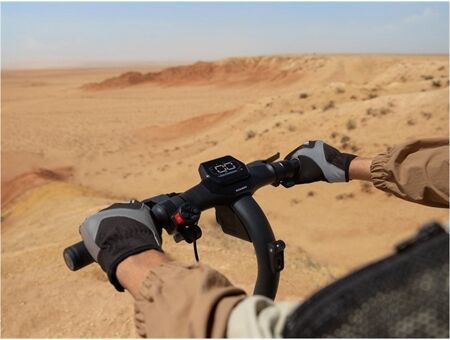 Ninebot by Segway eKickScooter ZT3 Pro D