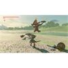 Nintendo The Legend of Zelda: BOTW