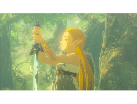 Nintendo The Legend of Zelda: BOTW