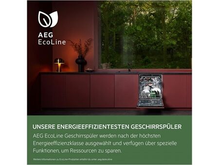 AEG Favorit FSE7673XP