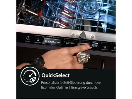 AEG Favorit FSE96808P