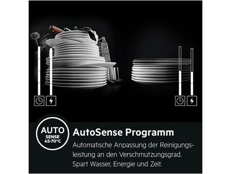 AEG Favorit FSE96808P