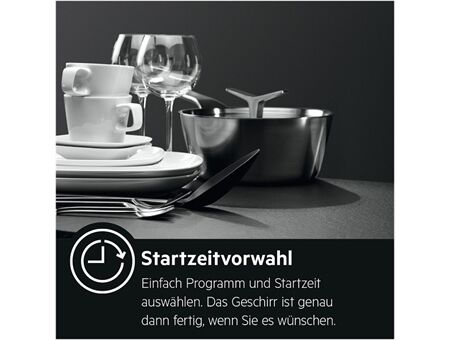 AEG Favorit FSE96808P