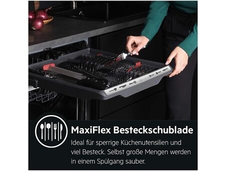 AEG Favorit FSE96808P