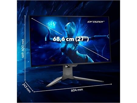 Medion Erazer Spectator X60 (MD 21827)
