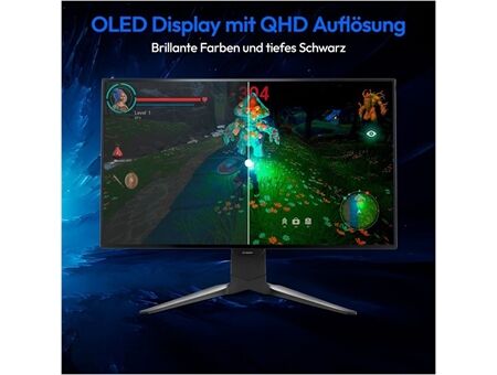 Medion Erazer Spectator X60 (MD 21827)