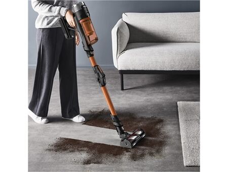 Rowenta RH9A30WO X-Force Flex 13.60 Allergy