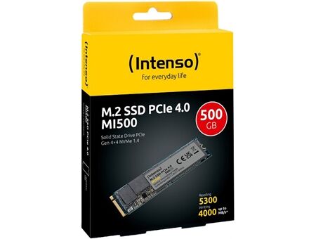 Intenso MI500 M.2 (500GB)