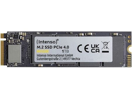 Intenso MI500 M.2 (1TB)